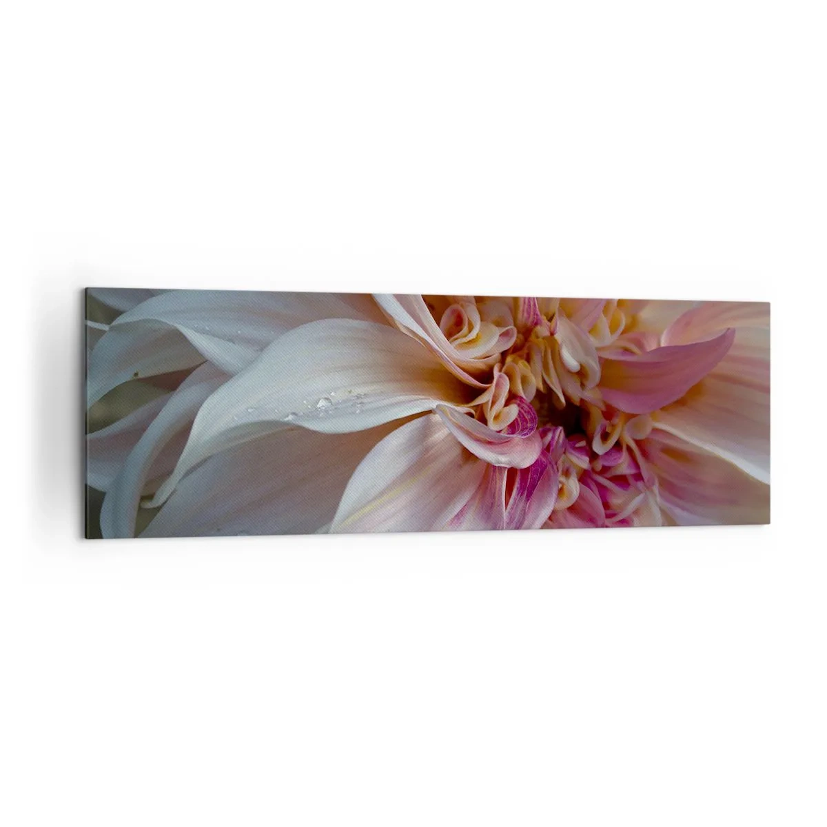 Quadro su tela - Stampe su Tela - Primo piano di delicati petali di fiori rosa con gocce d'acqua - 160x50cm - Freschezza in fiore - Decorazione murale moderna per soggiorno e camera da letto ARTTOR