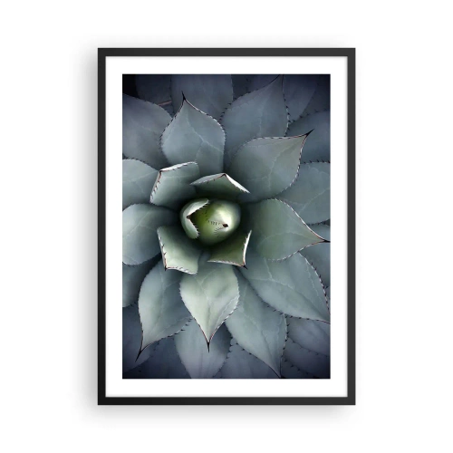 Poster in cornice nera - Primo piano delle foglie simmetriche di una succulenta nelle tonalità del verde. - 50x70cm - Adesca e minaccia - Decorazione murale moderna per soggiorno e camera da letto ARTTOR