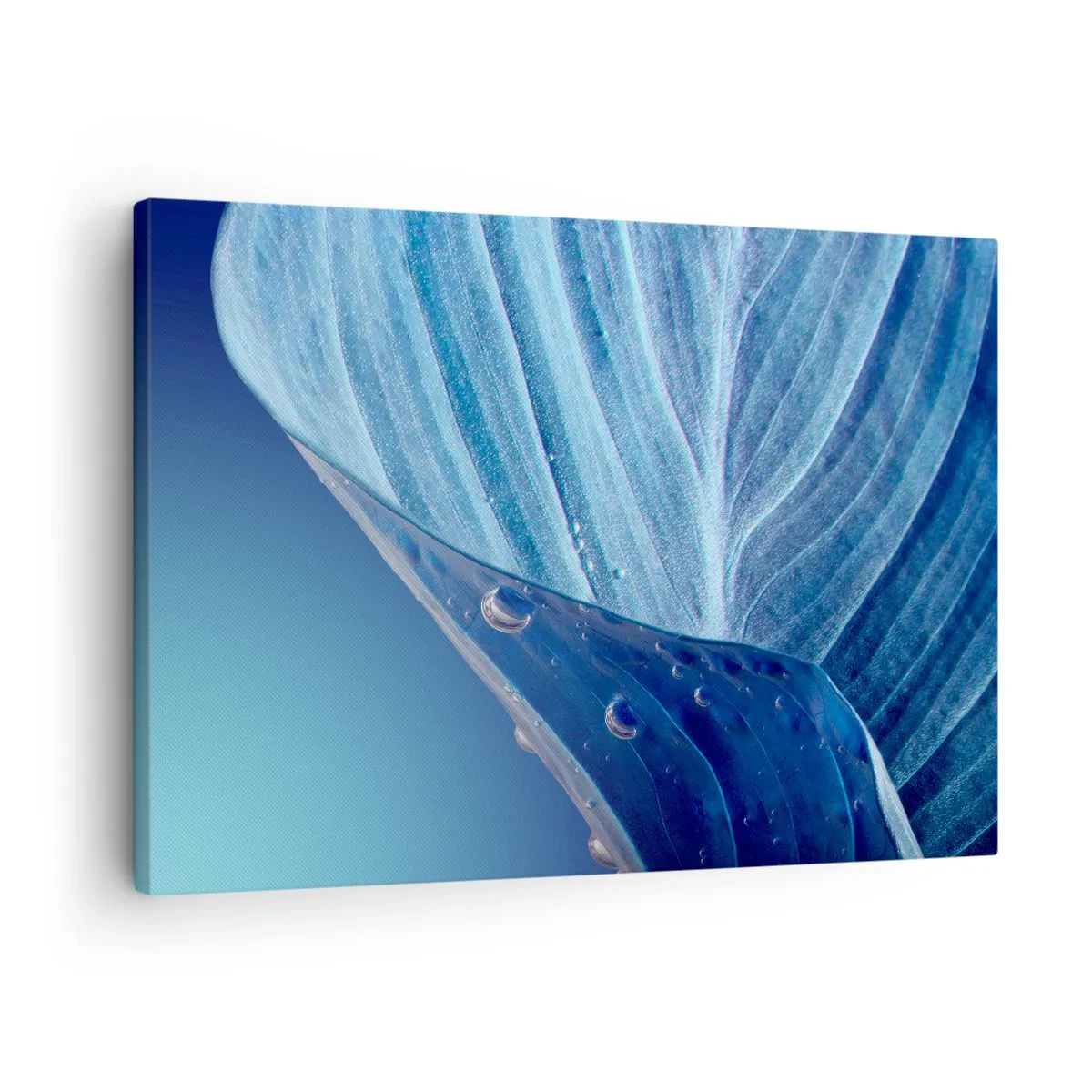 Quadro su tela - Stampe su Tela - Una foglia blu con gocce d'acqua visibili - 70x50cm - Gocce di blu nascoste - Decorazione murale moderna per soggiorno e camera da letto ARTTOR