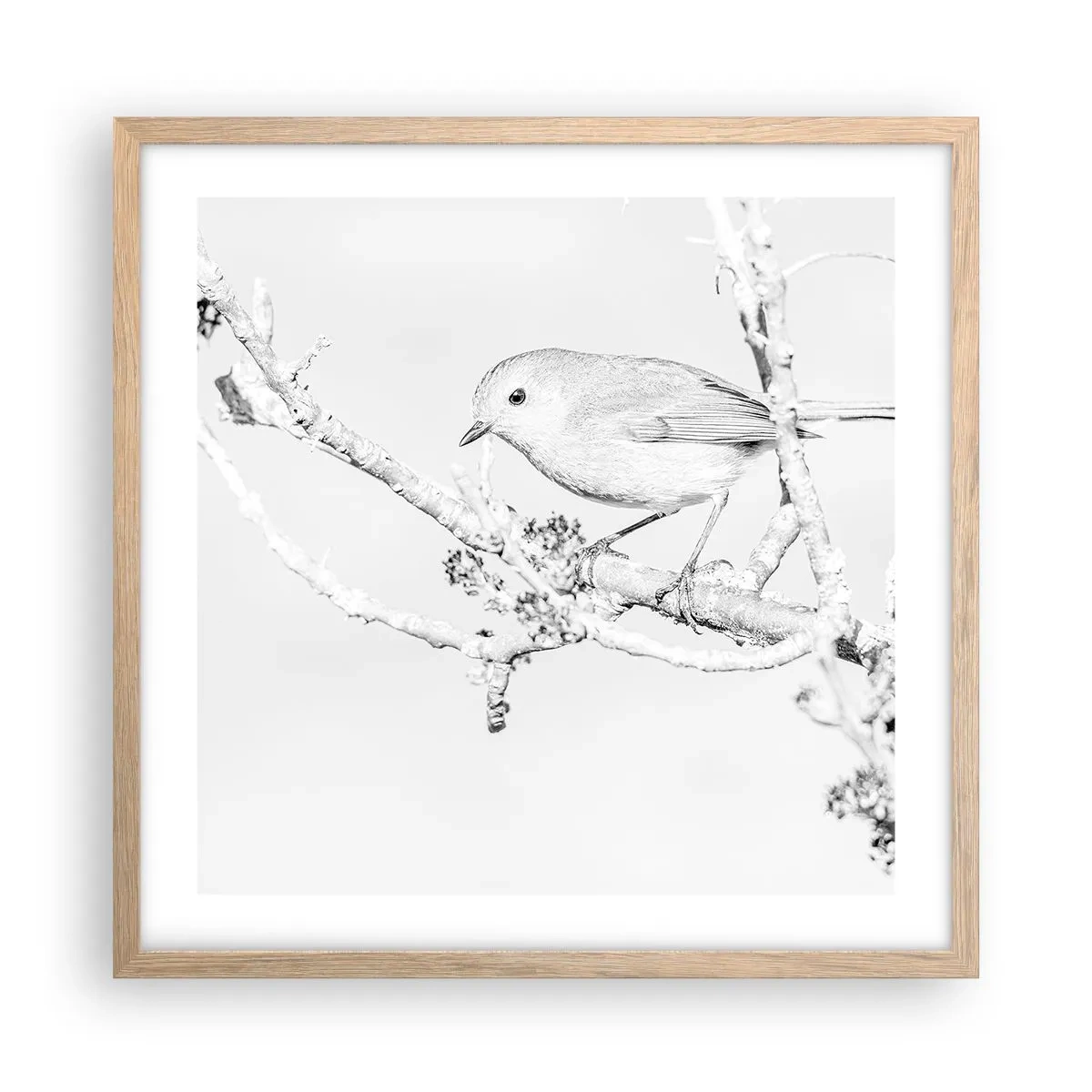 Poster in cornice rovere chiaro - Mattino invernale - 50x50 cm