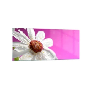 Quadro su vetro - Una margherita bianca ricoperta di gocce d'acqua su uno sfondo rosa - 120x50cm - Modesto nella sua bellezza - Decorazione murale moderna per soggiorno e camera da letto ARTTOR