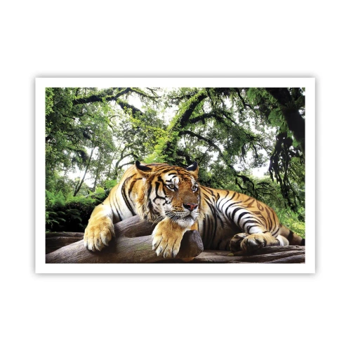 Poster - Una tigre che riposa in una foresta tropicale - 100x70cm - Con espressioni di stima - Decorazione murale moderna per soggiorno e camera da letto ARTTOR