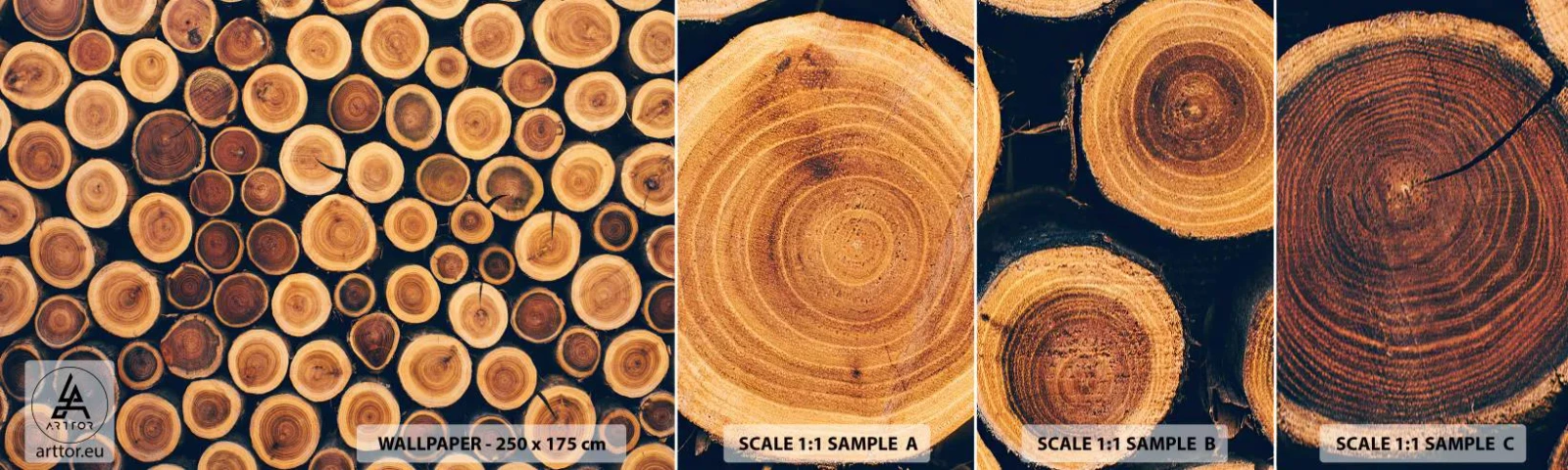 Campione Di Fotomurale Standard Eco - Quanti anni mi dai? - Tronco d'albero, foresta, Pezzo - 100x30 cm