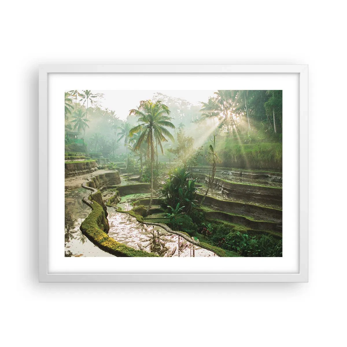 Poster in cornice bianca - Crescere al sole - 50x40 cm