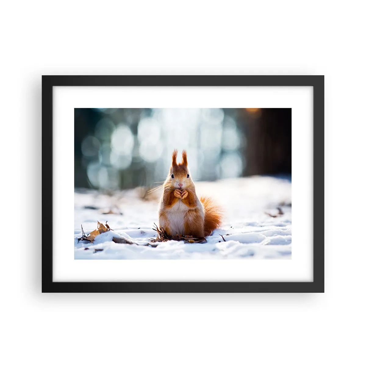 Poster in cornice nera - Che cosa guardi? - 40x30 cm