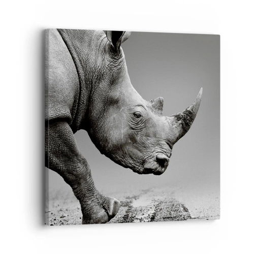 Quadro su tela - Stampe su Tela - Forza irrefrenabile - 30x30 cm