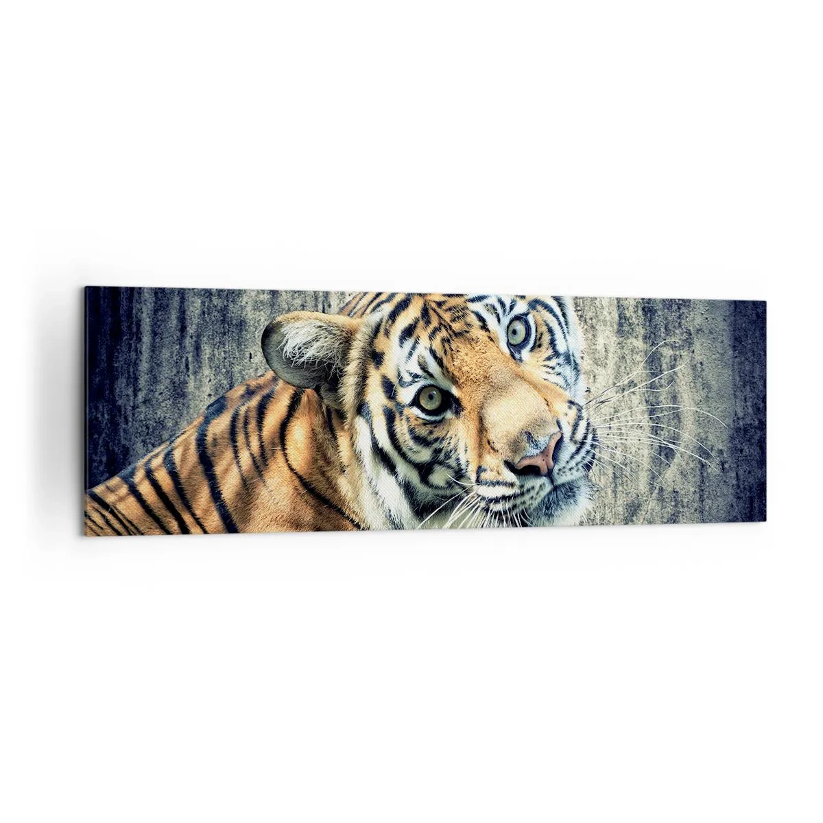 Quadro su tela - Stampe su Tela - Una tigre sdraiata contro un muro dalla consistenza ruvida - 160x50cm - Ritratto nei flussi di luce - Decorazione murale moderna per soggiorno e camera da letto ARTTOR