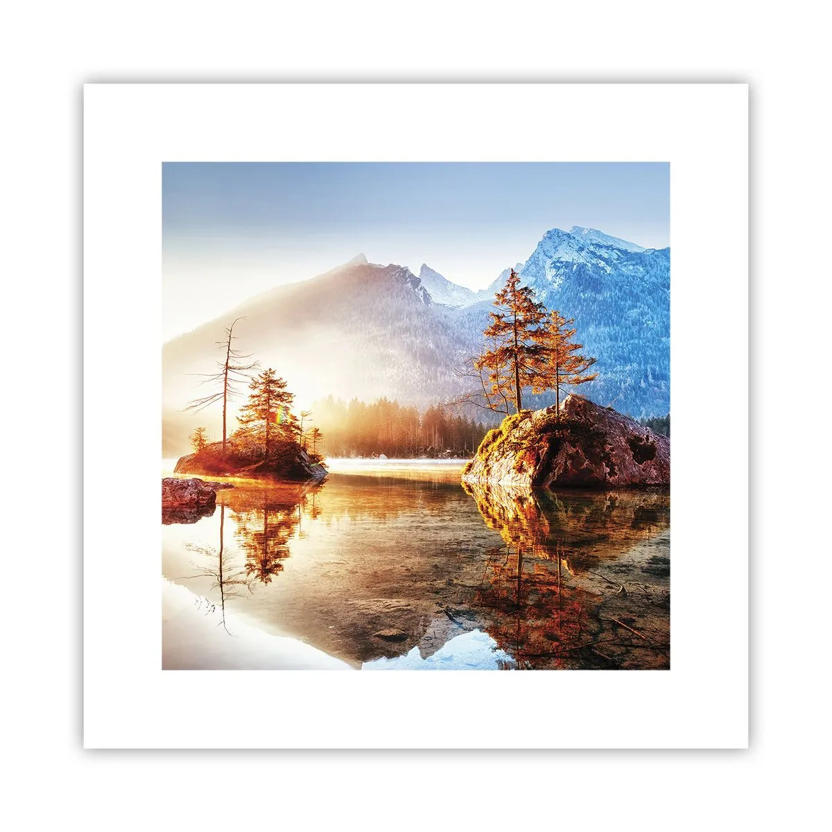 Poster - La natura in una nuova luce - 30x30 cm