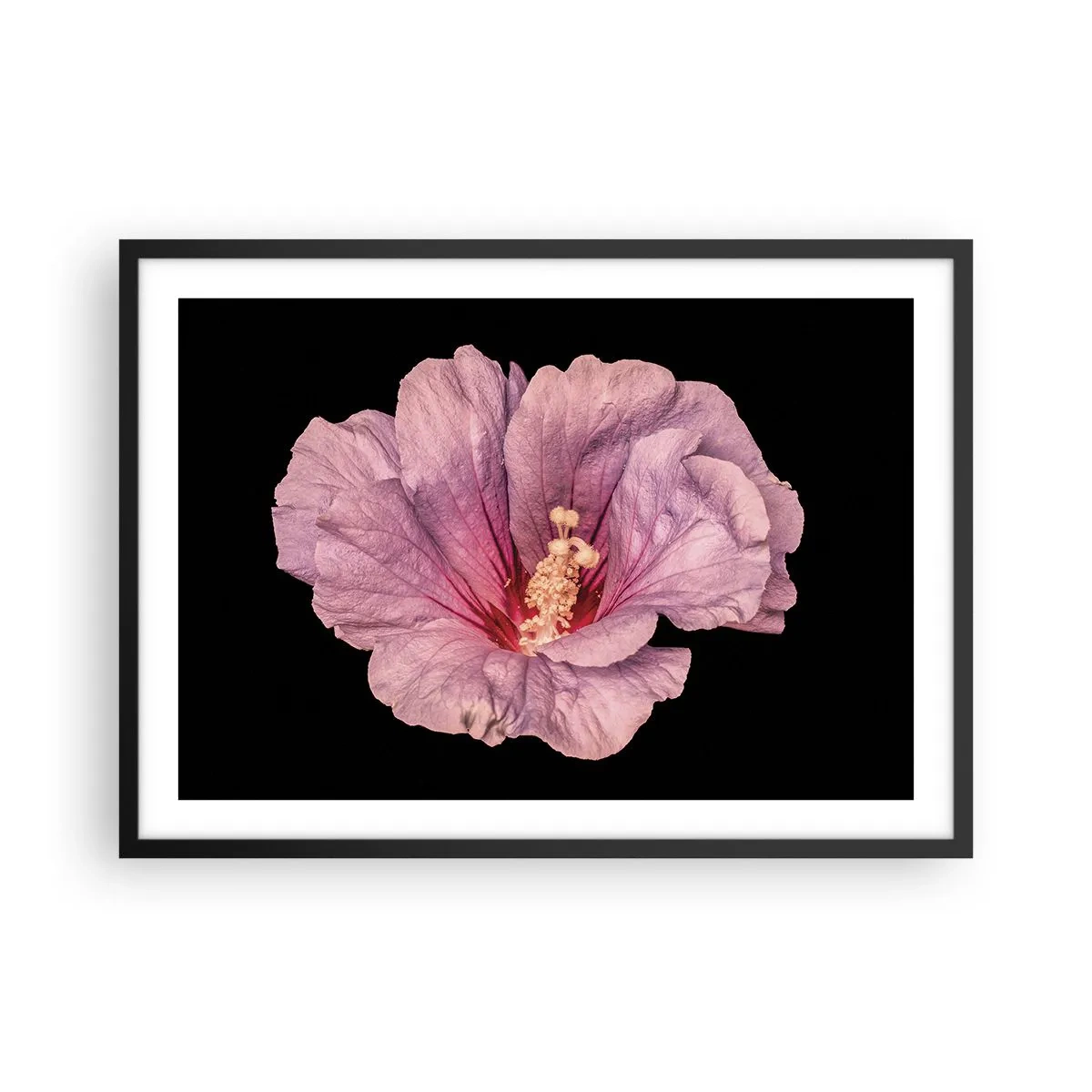 Poster in cornice nera - Fiore rosa su sfondo nero - 70x50cm - Dritto al cuore - Decorazione murale moderna per soggiorno e camera da letto ARTTOR