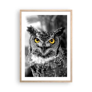 Poster in cornice rovere chiaro - Non si può nascondere niente - 50x70 cm