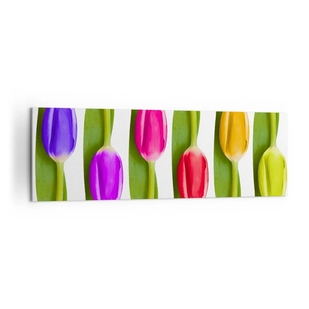Quadro su tela - Stampe su Tela - Tulipani multicolori disposti in fila su uno sfondo bianco - 160x50cm - Composizione arcobaleno - Decorazione murale moderna per soggiorno e camera da letto ARTTOR