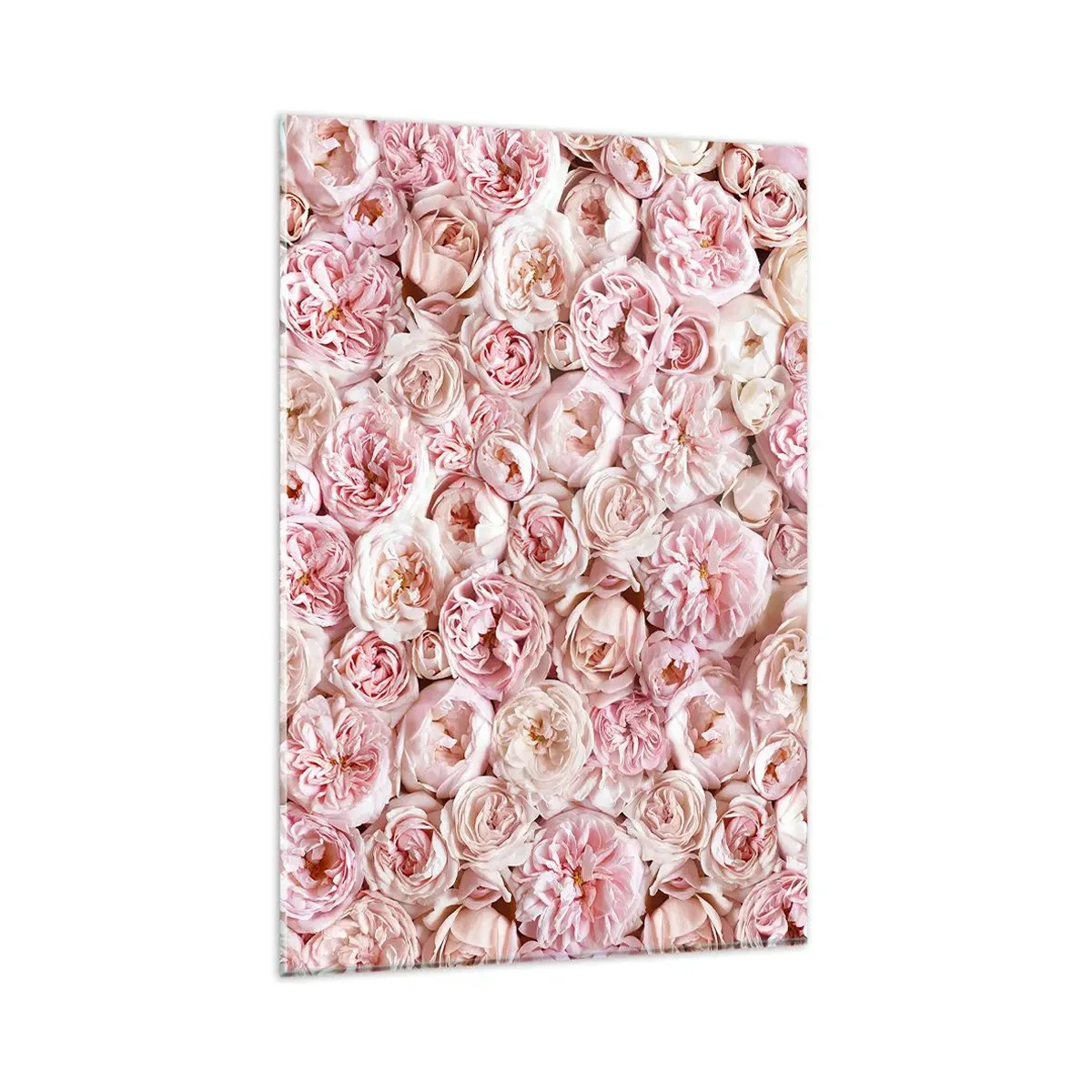 Quadro su vetro - Delicate rose in tonalità di rosa su tutta la superficie - 80x120cm - Coperto di rose - Decorazione murale moderna per soggiorno e camera da letto ARTTOR