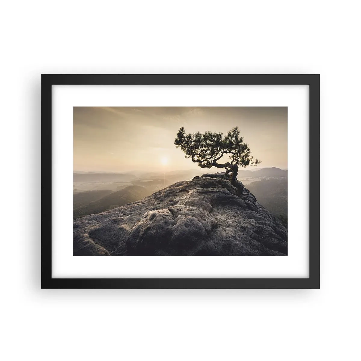 Poster in cornice nera - La vita vince sempre - 40x30 cm