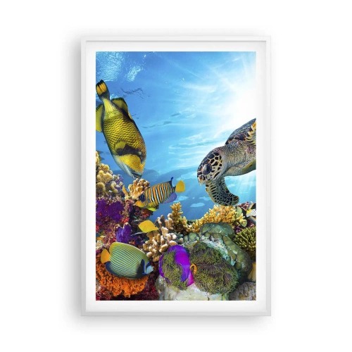 Poster in cornice bianca - Passeggiata corallina - 61x91 cm