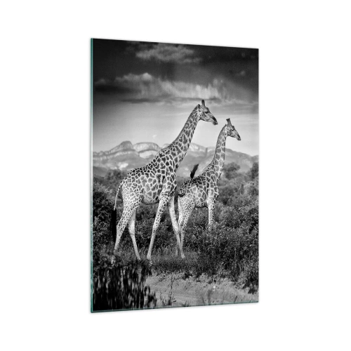 Quadro su vetro - Sagome in bianco e nero di due giraffe nella savana - 70x100cm - Alta classe in Africa - Decorazione murale moderna per soggiorno e camera da letto ARTTOR