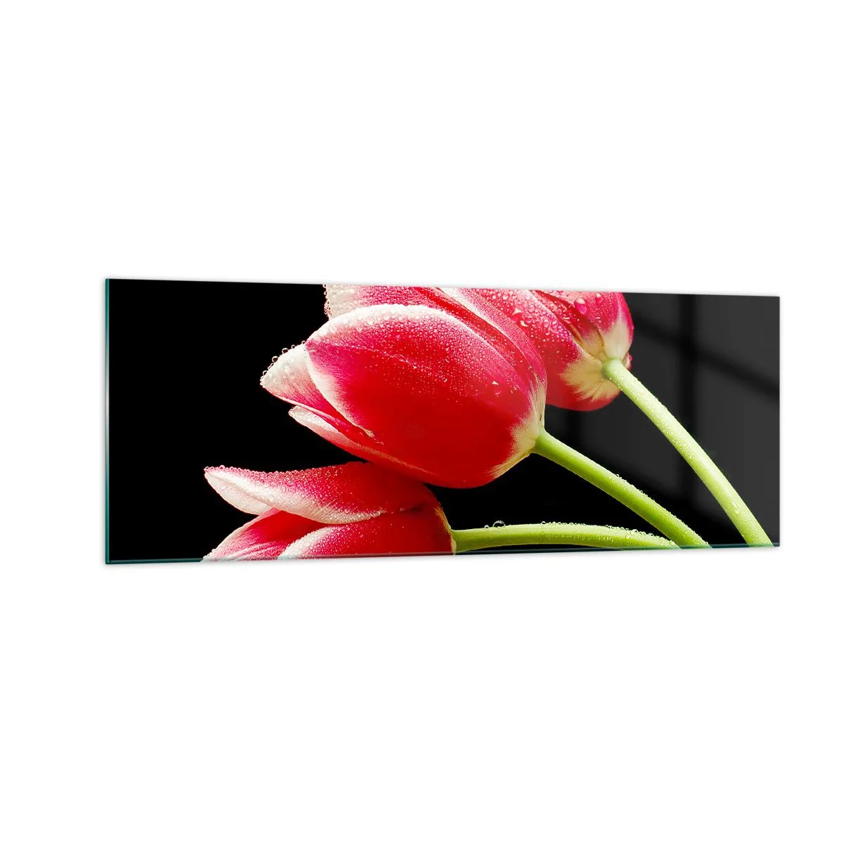 Quadro su vetro - Tulipani rossi con gocce di rugiada su sfondo nero - 140x50cm - Promessa di amore puro - Decorazione murale moderna per soggiorno e camera da letto ARTTOR