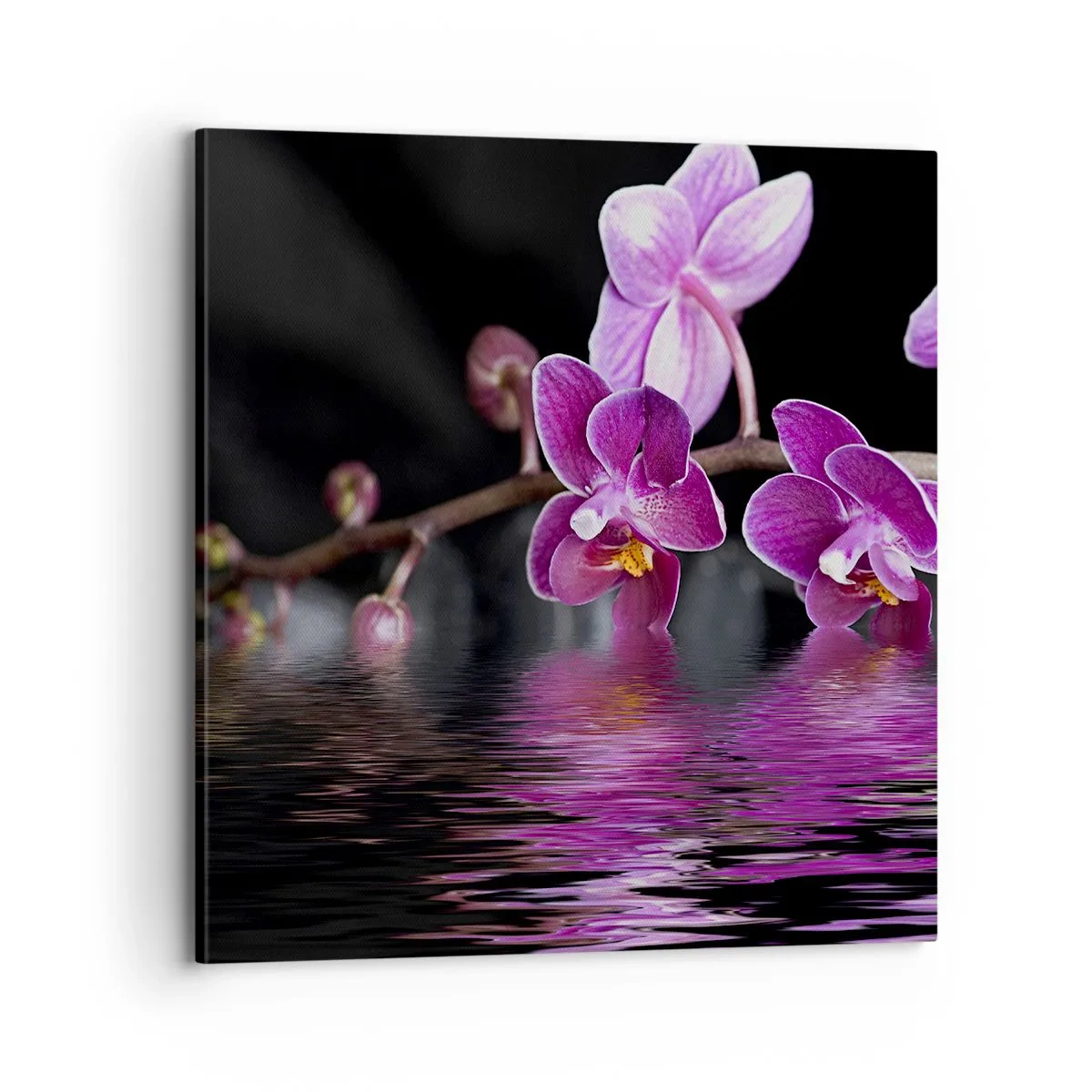 Quadro su tela - Stampe su Tela - La bellezza riflessa dai gigli - 70x70 cm