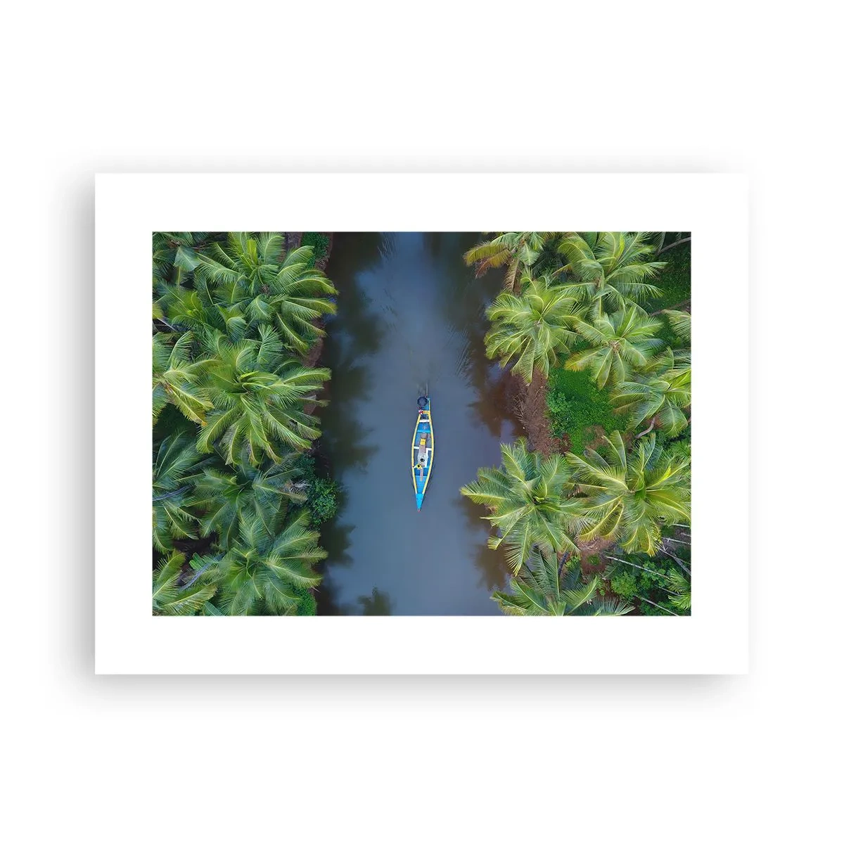 Poster - Sul percorso tropicale - 40x30 cm