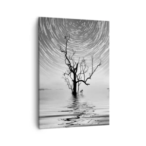 Quadro su tela - Stampe su Tela - Un albero nell'acqua sotto un cielo notturno con stelle in movimento - 50x70cm - Sinfonia della natura - Decorazione murale moderna per soggiorno e camera da letto ARTTOR