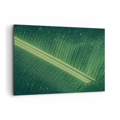 Quadro su tela - Stampe su Tela - Una foglia verde con gocce d'acqua sulla sua superficie - 100x70cm - La struttura del verde - Decorazione murale moderna per soggiorno e camera da letto ARTTOR