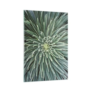 Quadro su vetro - Disposizione simmetrica di foglie verdi che ricordano una stella - 70x100cm - La nascita delle stelle - Decorazione murale moderna per soggiorno e camera da letto ARTTOR