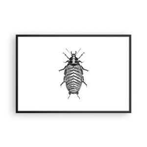 Poster in cornice nera - Che esemplare! - 91x61 cm