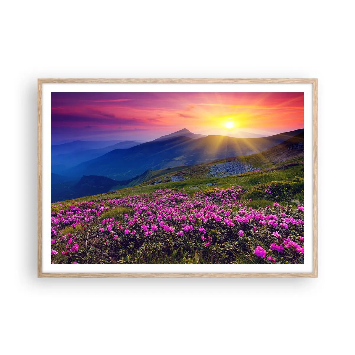 Poster in cornice rovere chiaro - Odore di mugo e profumo di erbe - 100x70 cm