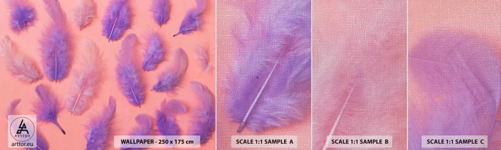 Campione di Fotomurale Premium Canvas - L'uccello lilla del desiderio - Piuma di uccello, Ispirazione, Grafica - 100x30 cm