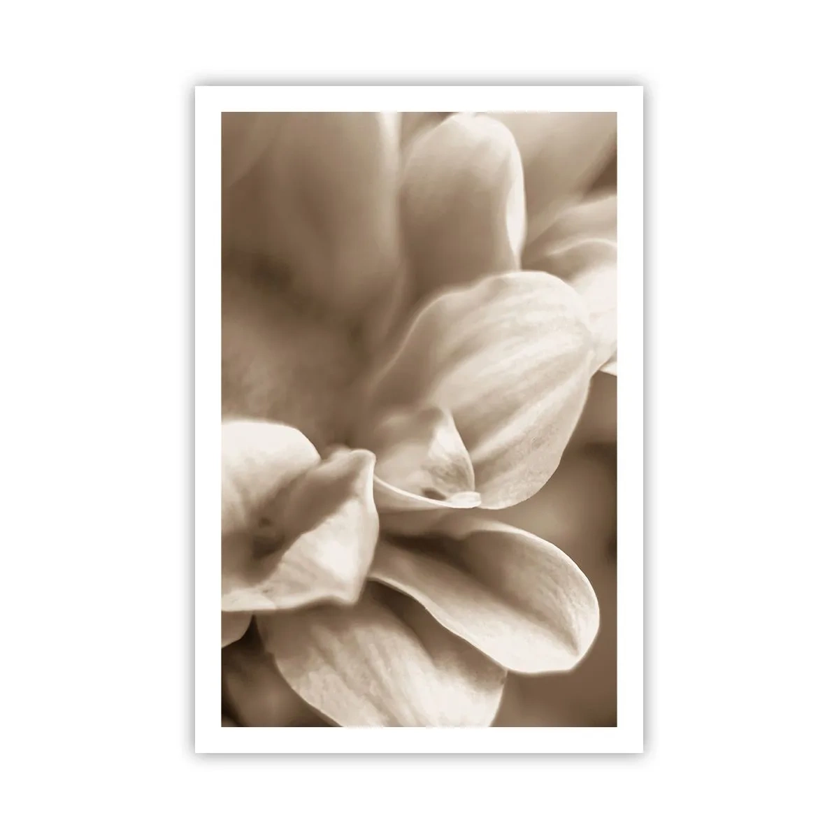 Poster - Mite come un sorriso - 61x91 cm