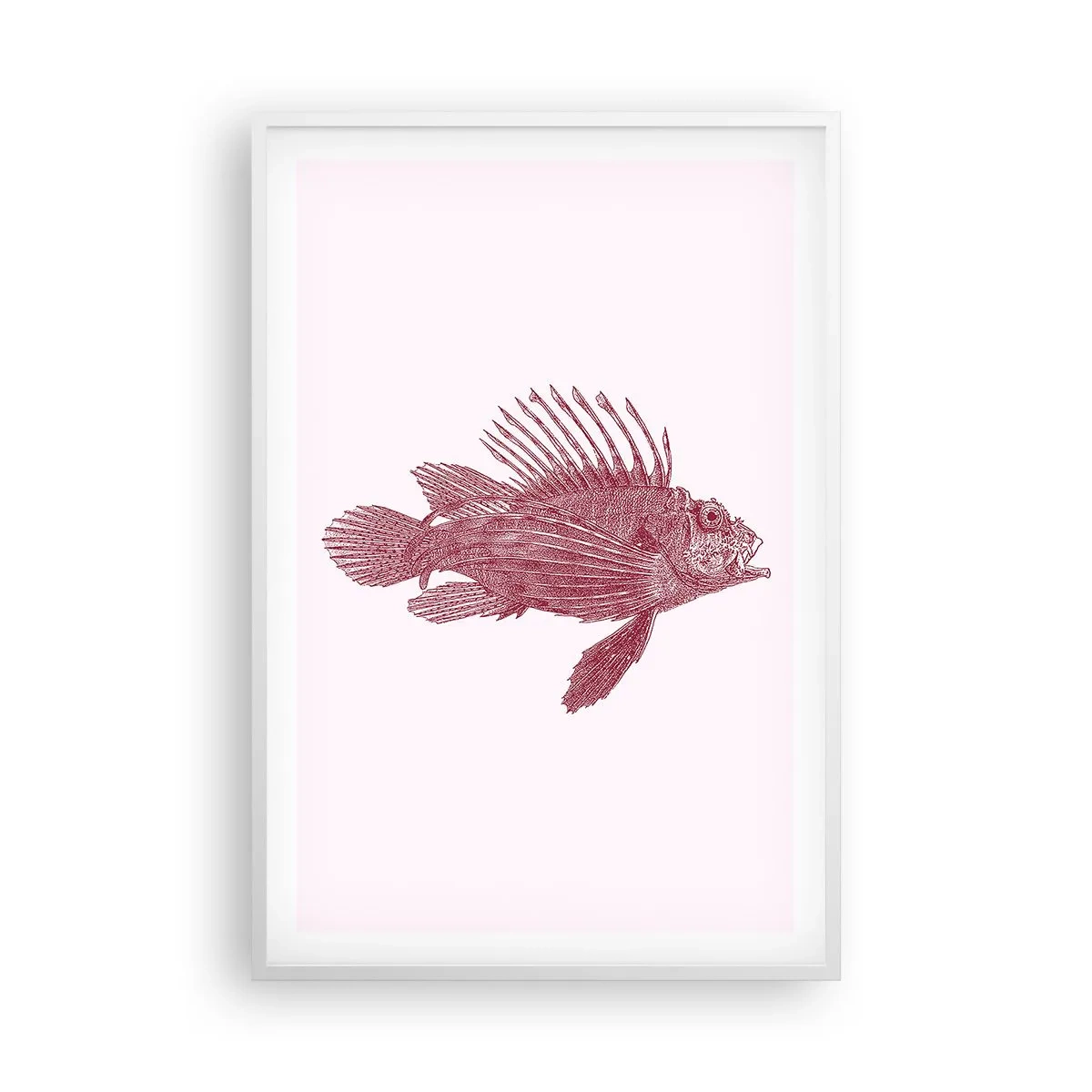 Poster in cornice bianca - Abitante di mari esotici - 61x91 cm