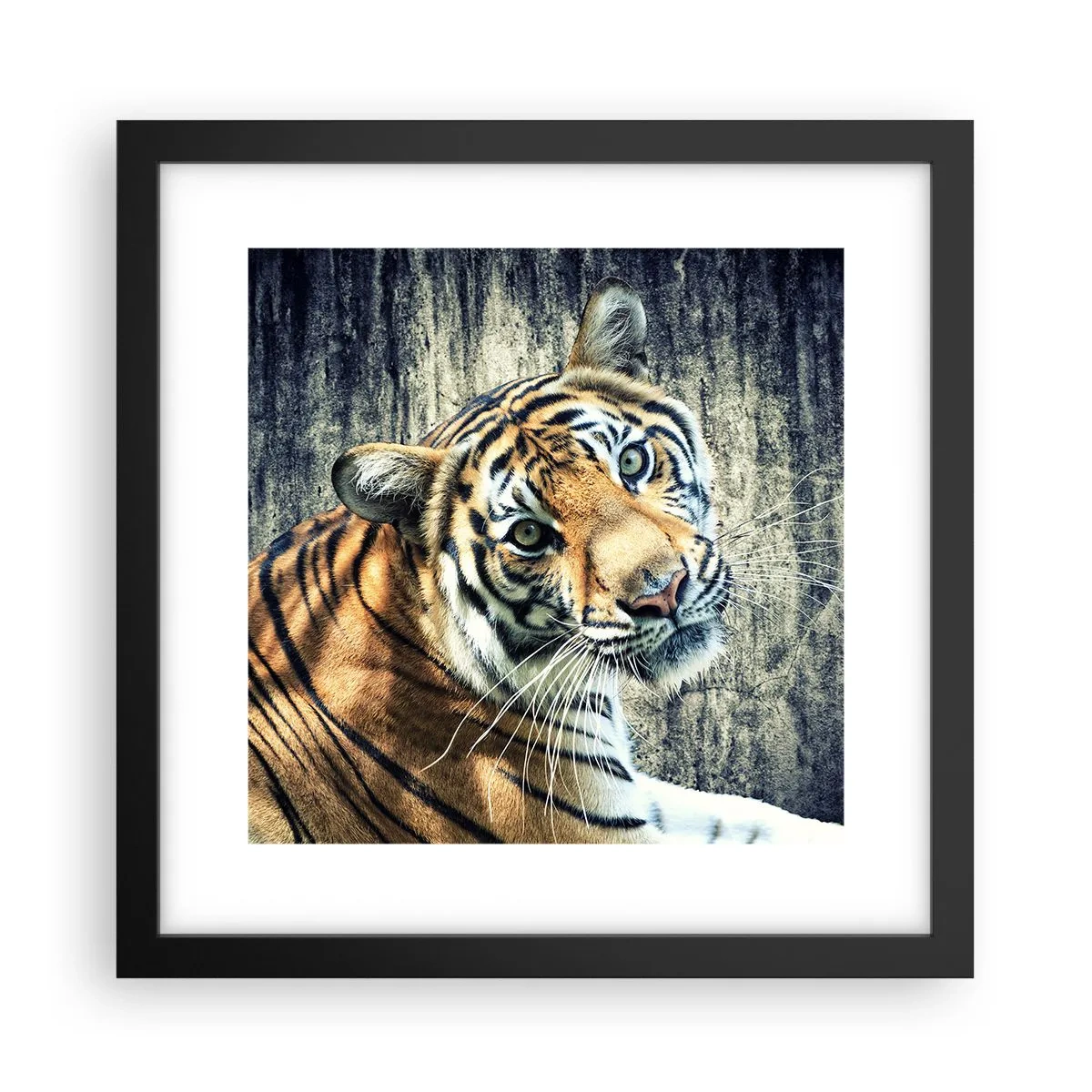 Poster in cornice nera - Ritratto nei flussi di luce - 30x30 cm