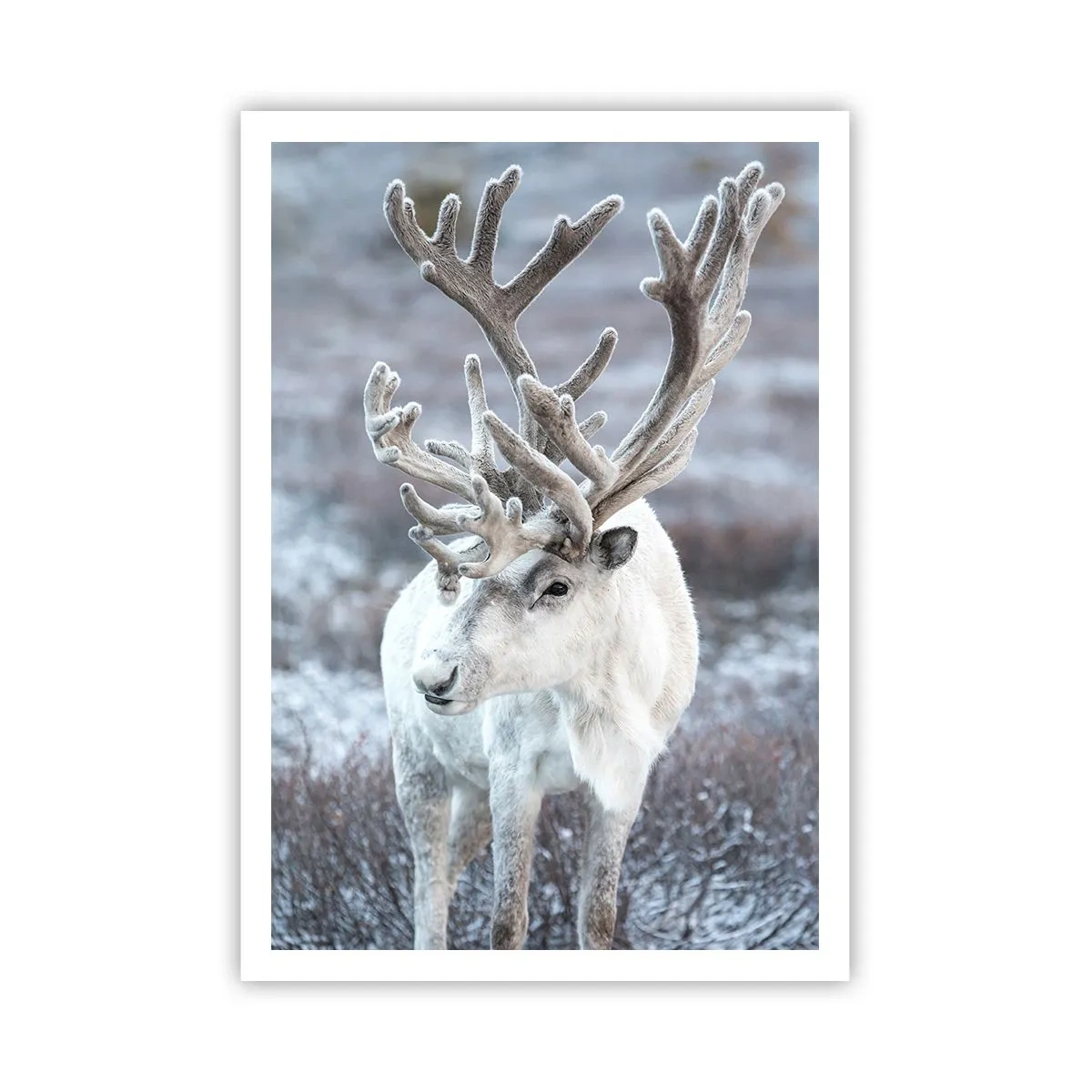 Poster - Ritratto al sole - 70x100 cm