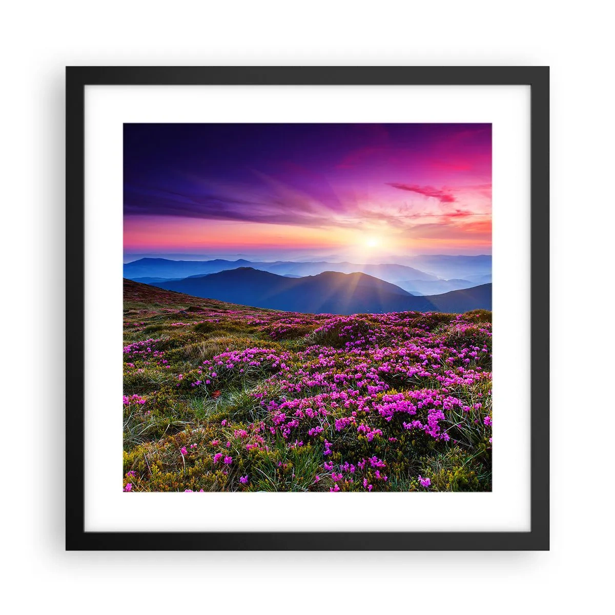 Poster in cornice nera - Il profumo dei fiori freschi del campo - 40x40 cm