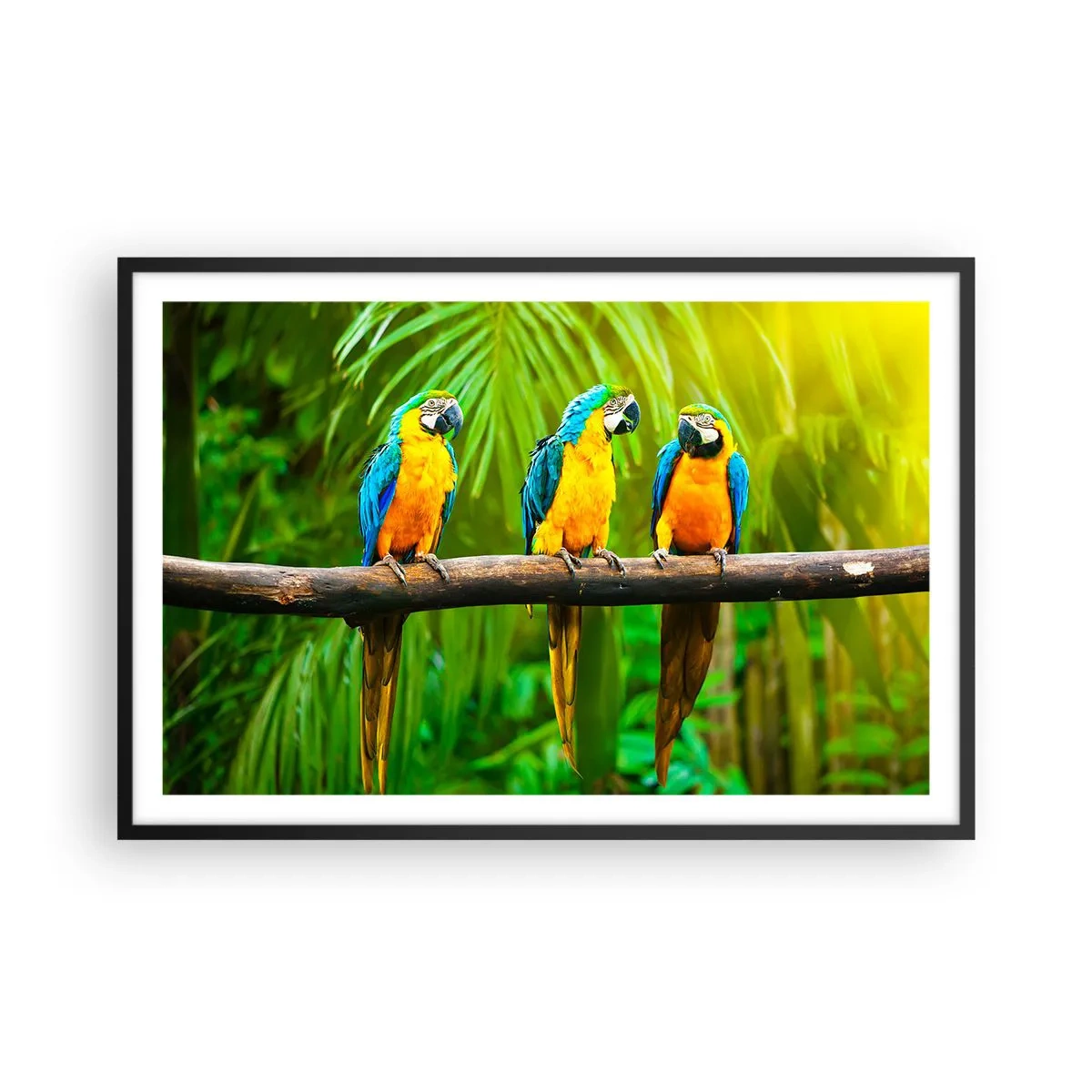 Poster in cornice nera - Hai sentito che ha fatto? - 91x61 cm