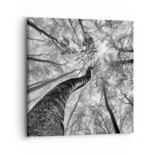 Quadro su tela - Stampe su Tela - La corsa verso la luce - 30x30 cm