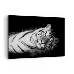 Quadro su tela - Stampe su Tela - Una tigre bianca artisticamente raffigurata su uno sfondo nero - 120x80cm - Selvaggità e pace - Decorazione murale moderna per soggiorno e camera da letto ARTTOR