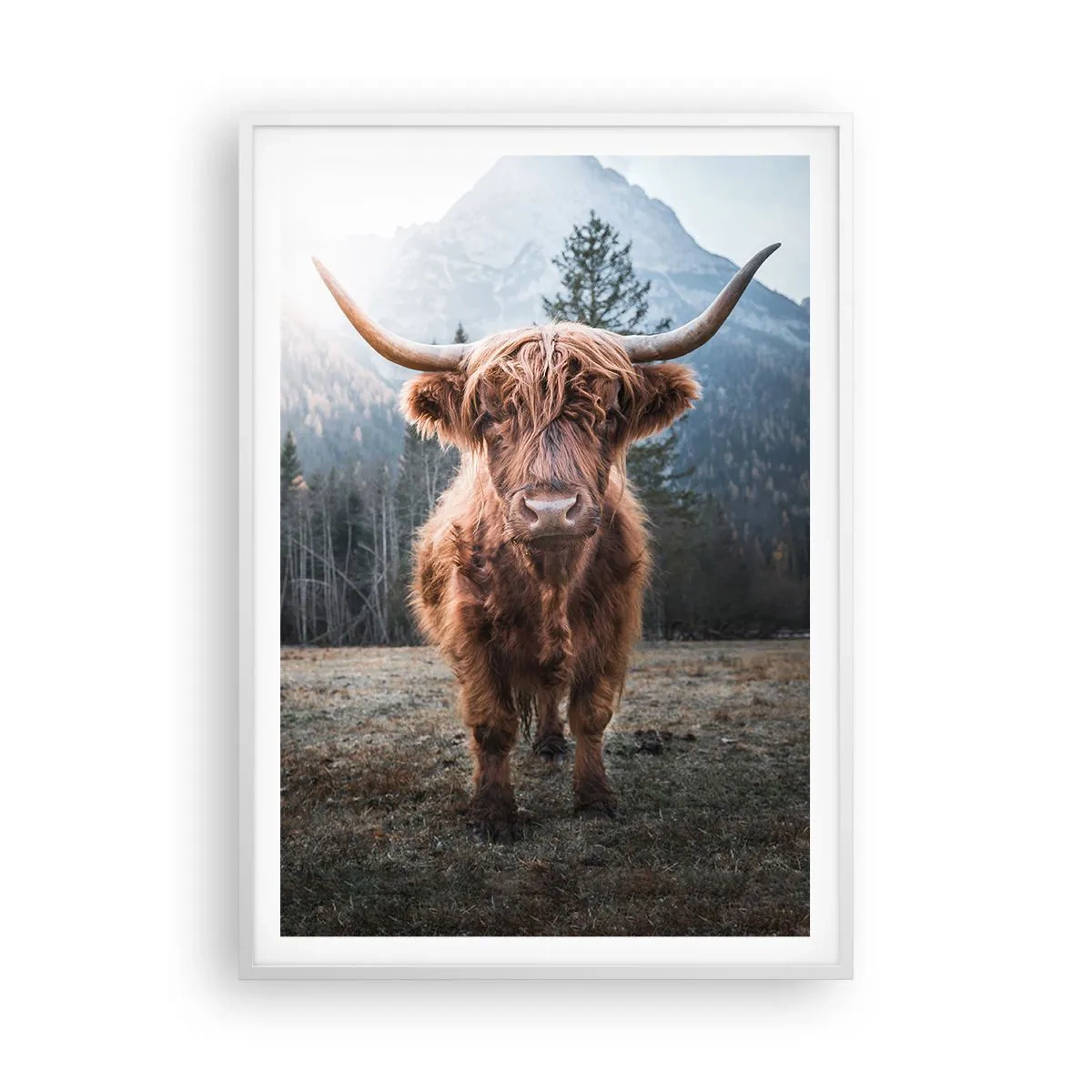 Poster in cornice bianca - Saluti dal prato montano - 70x100 cm