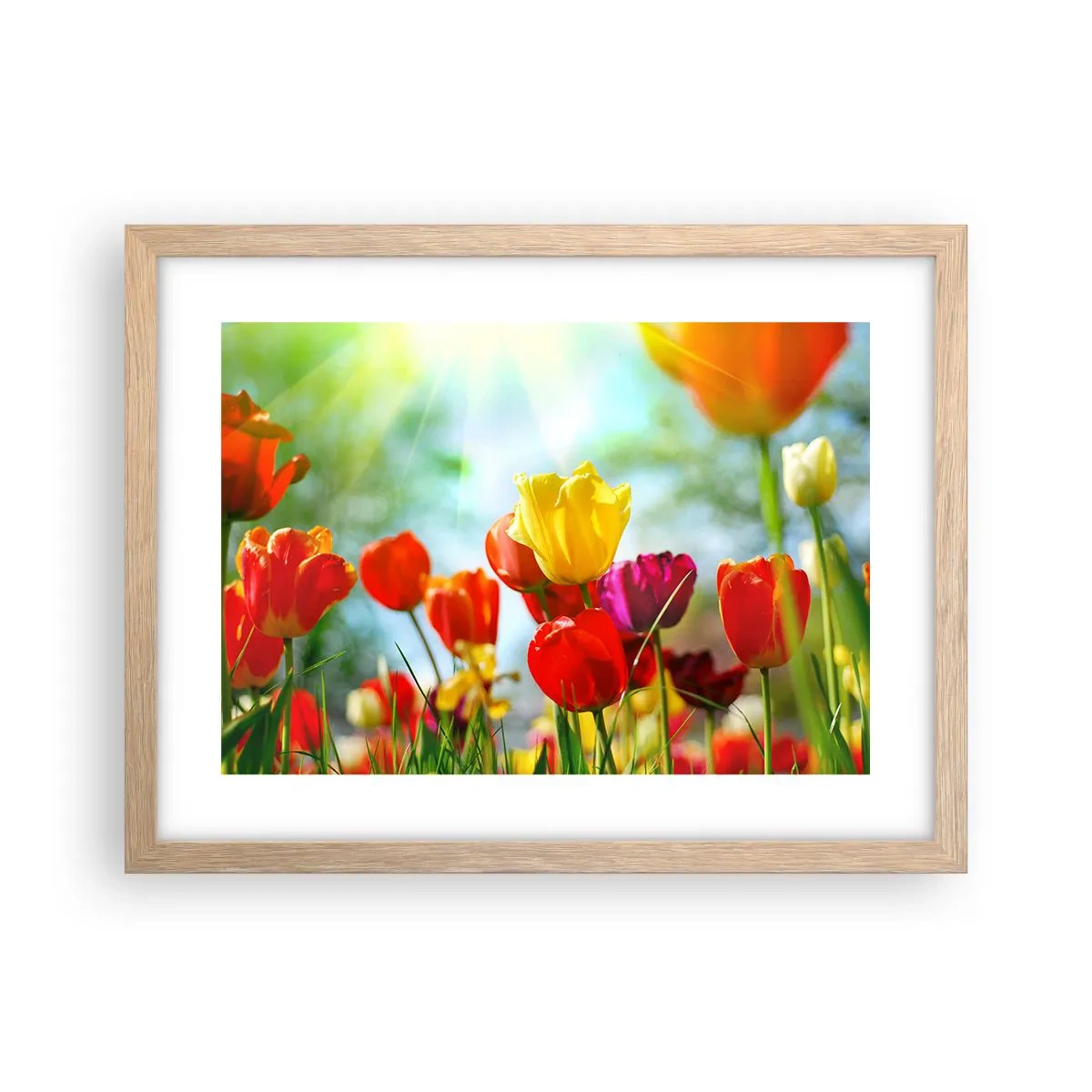 Poster in cornice rovere chiaro - Tutti i colori del sole - 40x30 cm