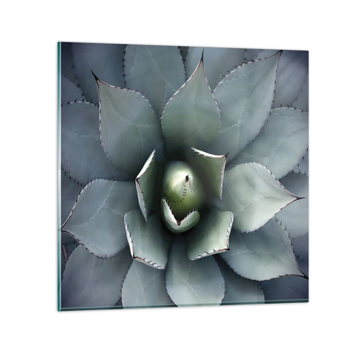 Quadro su vetro - Adesca e minaccia - 40x40 cm