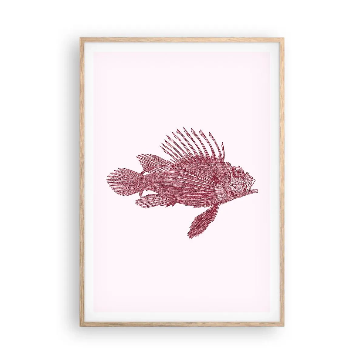 Poster in cornice rovere chiaro - Abitante di mari esotici - 70x100 cm