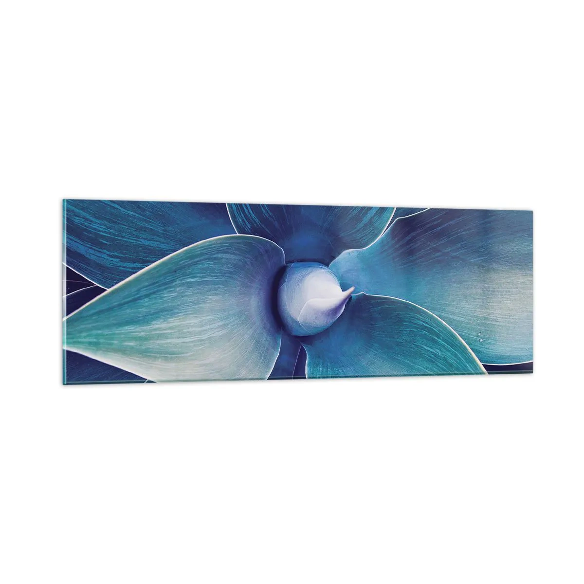 Quadro su vetro - Imbluito dal sole - 90x30 cm