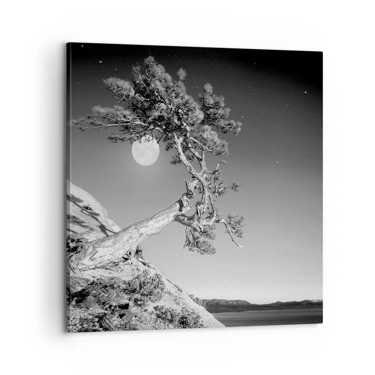 Quadro su tela - Stampe su Tela - Guerriera vittoriosa - 60x60 cm