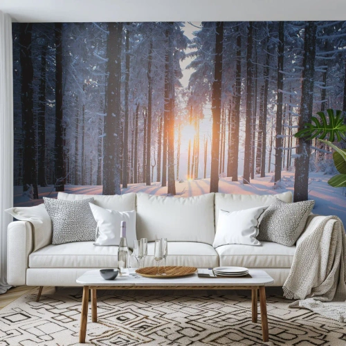 Fotomurali Standard Eco - Decisamente nero su bianco - Paesaggio, foresta, Nevicare - 350x256 cm