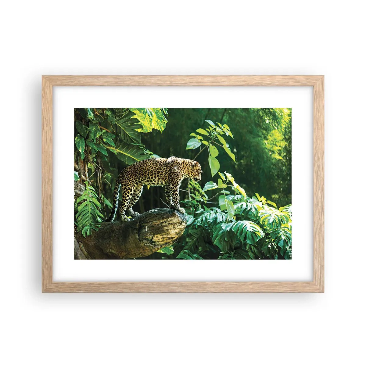 Poster in cornice rovere chiaro - A caccia? - 40x30 cm