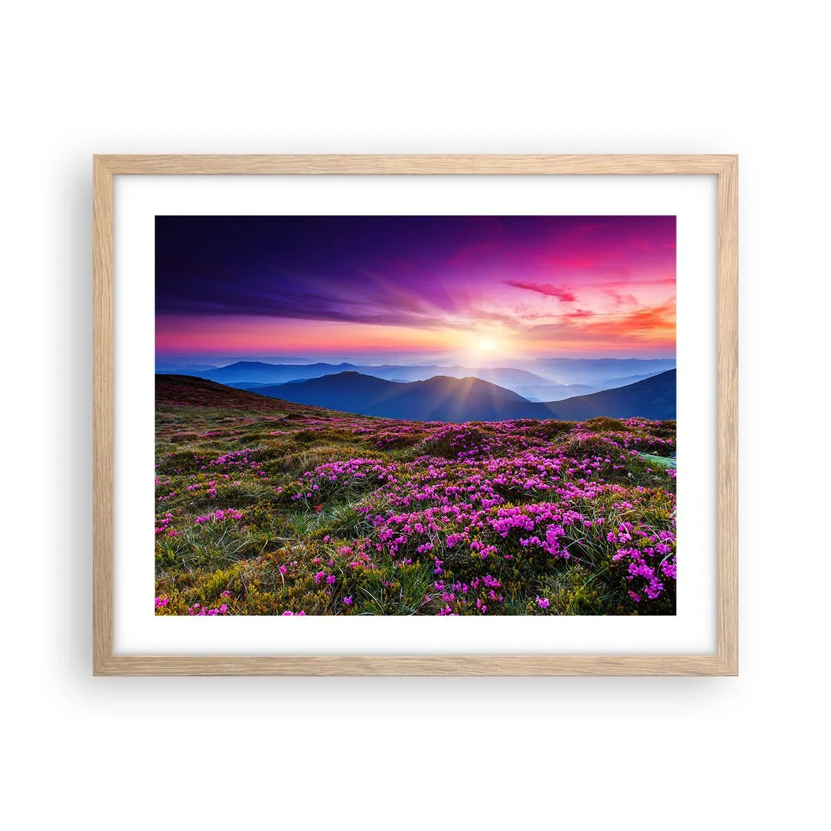 Poster in cornice rovere chiaro - Il profumo dei fiori freschi del campo - 50x40 cm