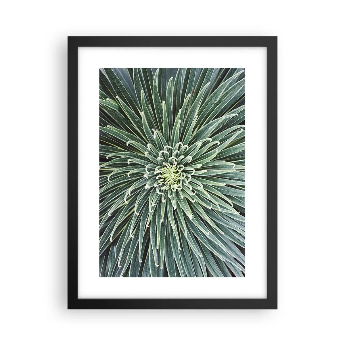 Poster in cornice nera - La nascita delle stelle - 30x40 cm