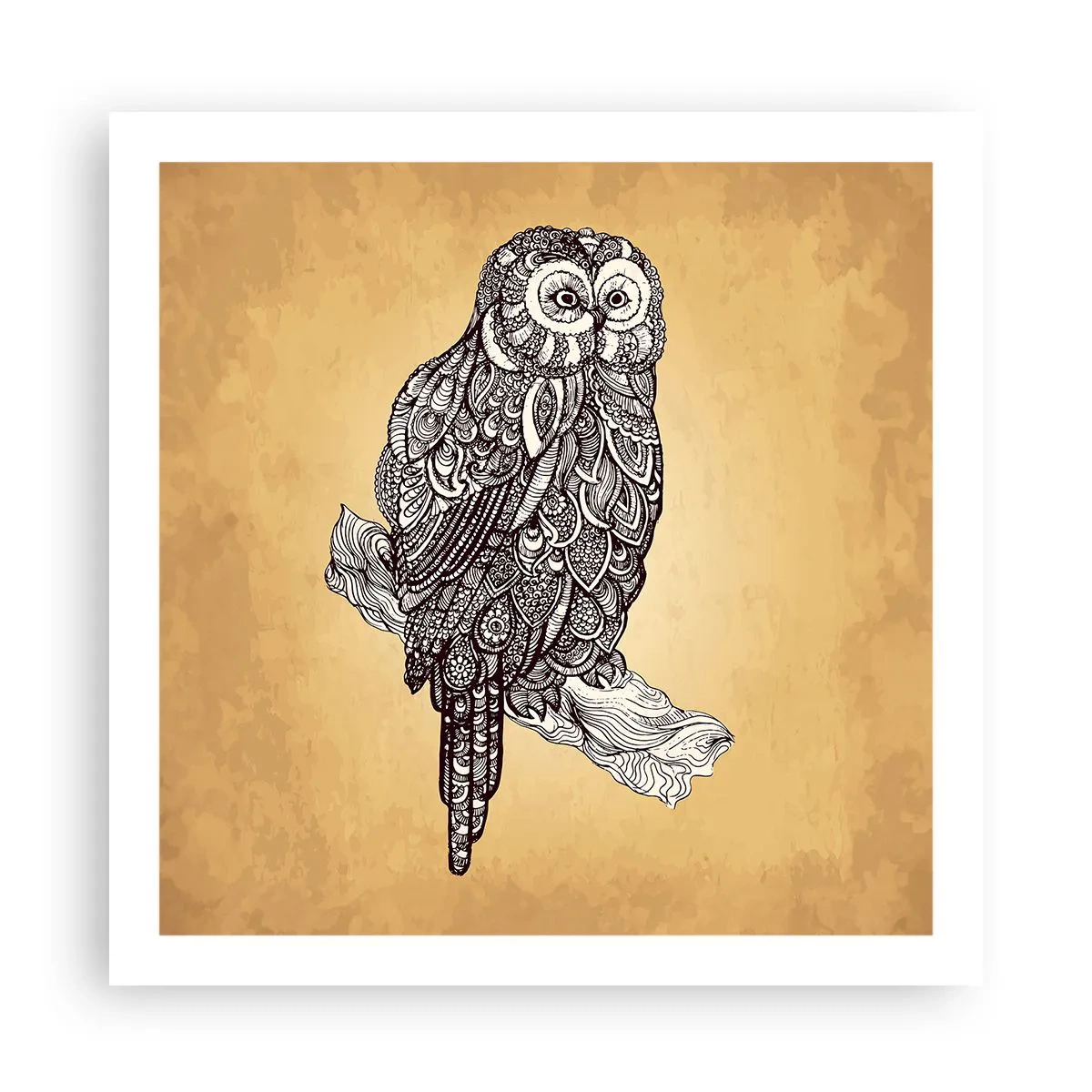 Poster - Delicati ghirigori di saggezza - 60x60 cm