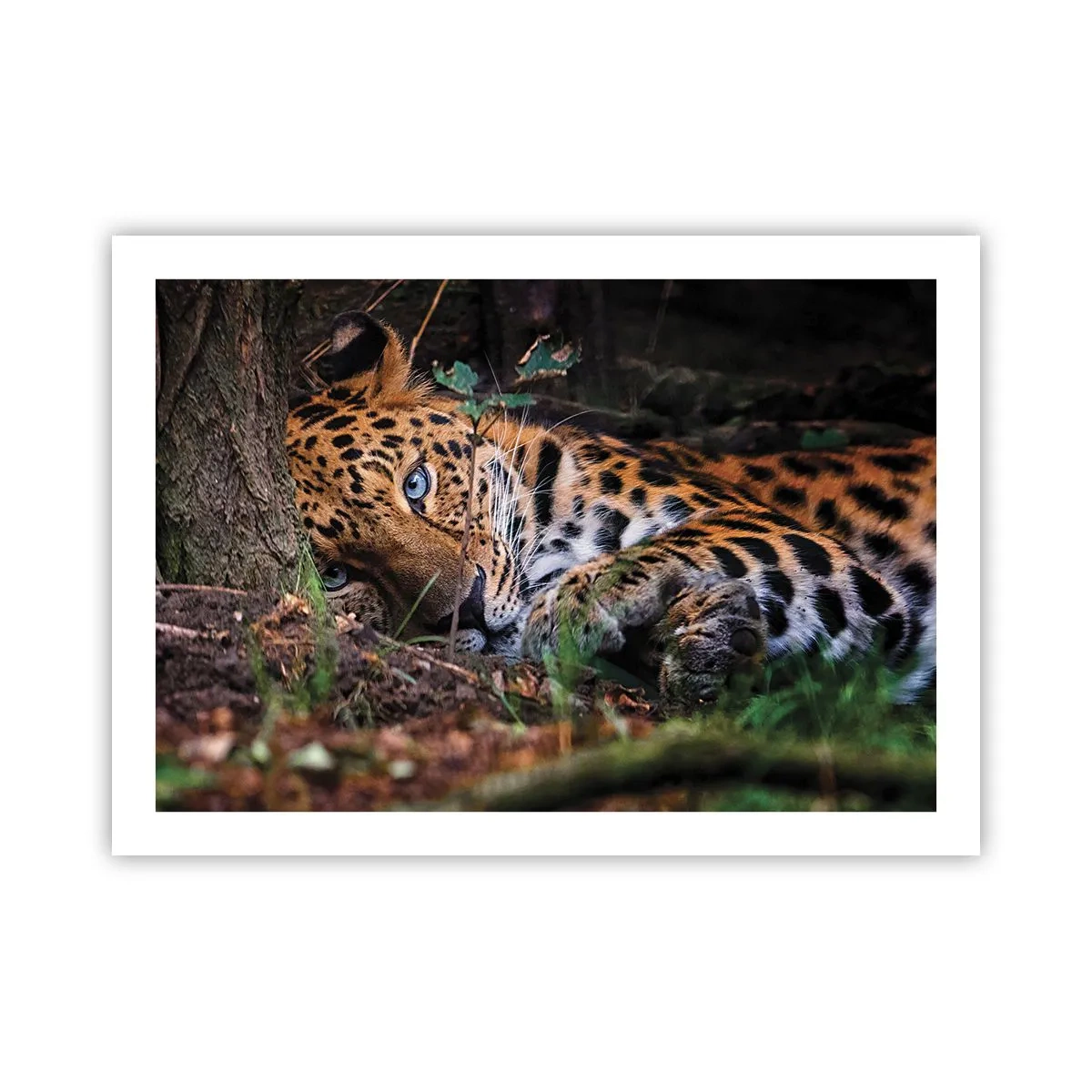 Poster - Fidati di me - 70x50 cm