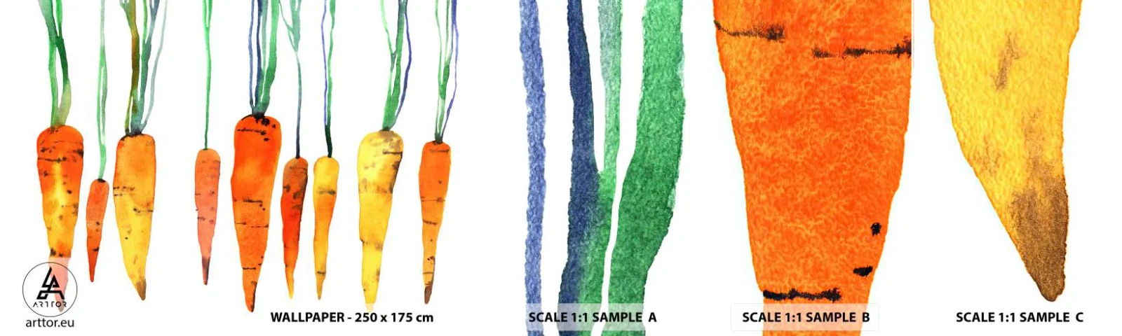 Campione di Fotomurale Adesivo Deluxe Sticker - La bellezza della semplicità - Gastronomia, Carota, Grafica - 100x30 cm