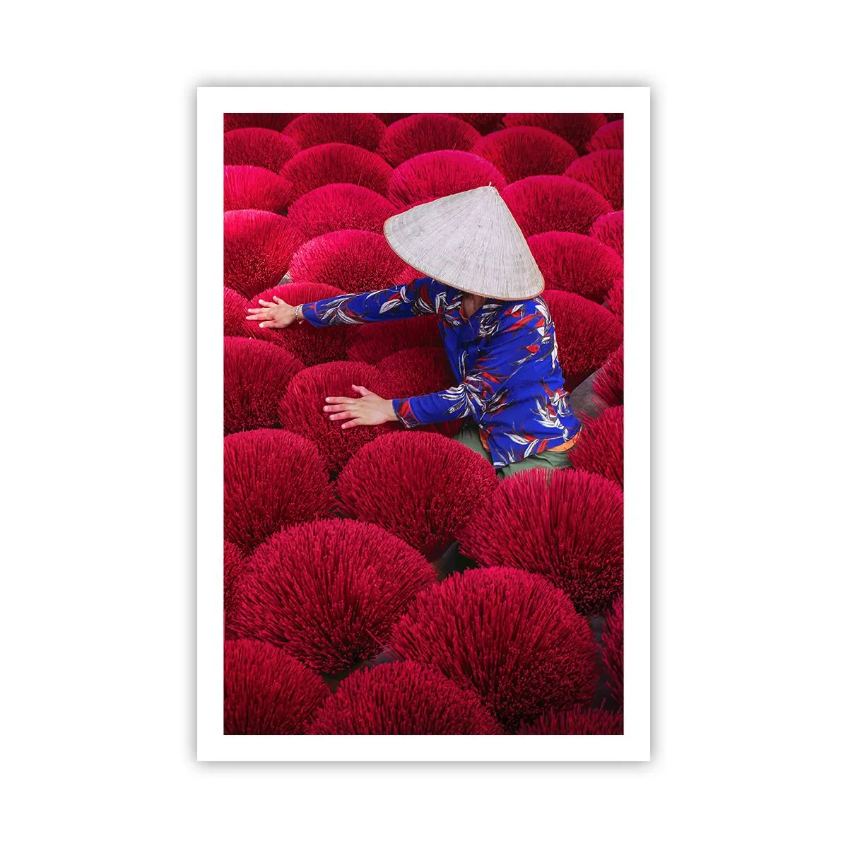 Poster - Nel campo di riso - 61x91 cm